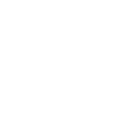 phone-blanc-icon